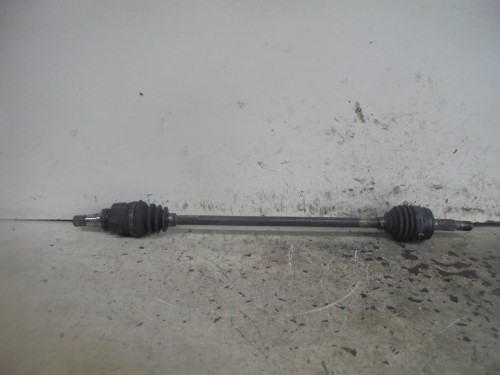 Semialbero ant. compl. dx. Semialbero ant. compl. dx.