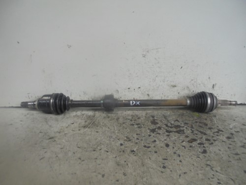 Semialbero ant. compl.  dx. 