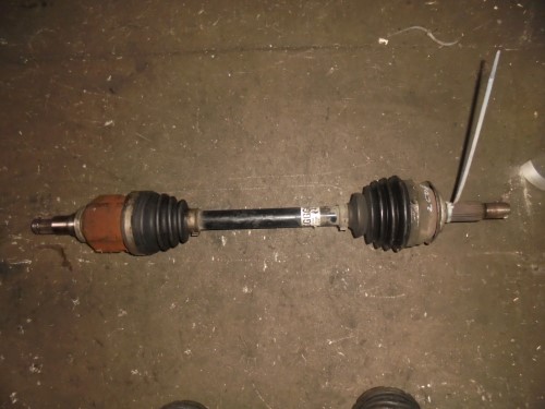 Semialbero ant. compl. sx. Semialbero ant. compl. sx.