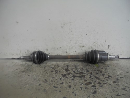 Semialbero ant. compl. sx. Semialbero ant. compl. sx.