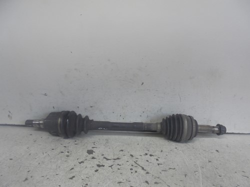 Semialbero ant. compl. sx. Semialbero ant. compl. sx.