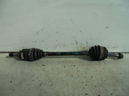 Semialbero ant. compl. sx. Semialbero ant. compl. sx.