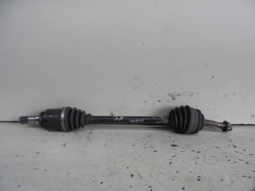 Semialbero ant. compl. sx. Semialbero ant. compl. sx.