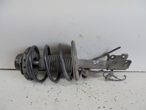 Ammortizzatore ant. sx.
