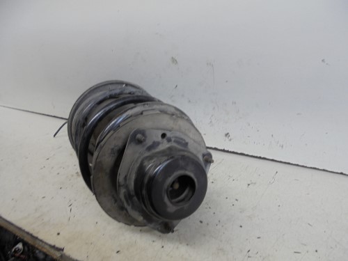 Ammortizzatore ant. sx.