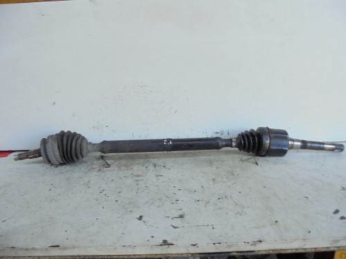 Semialbero ant. compl. dx. Semialbero ant. compl. dx.