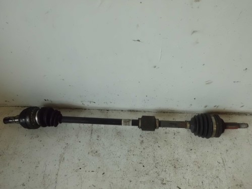 Semialbero ant. compl. dx. Semialbero ant. compl. dx.