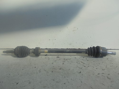 Semialbero ant. compl.  dx. 