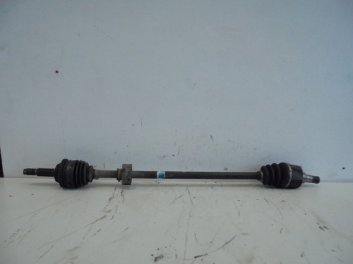 Semialbero ant. compl.  dx. 