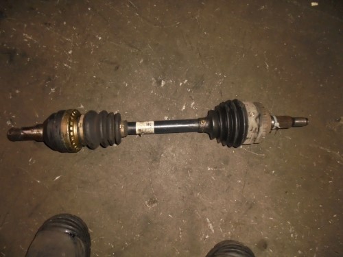 Semialbero ant. compl. sx. Semialbero ant. compl. sx.