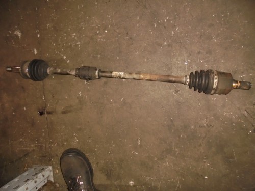 Semialbero ant. compl. dx. Semialbero ant. compl. dx.