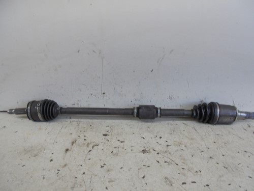 Semialbero ant. compl. dx. Semialbero ant. compl. dx.