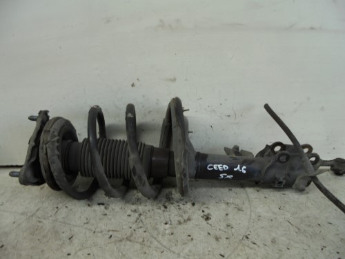 Ammortizzatore ant.  sx.