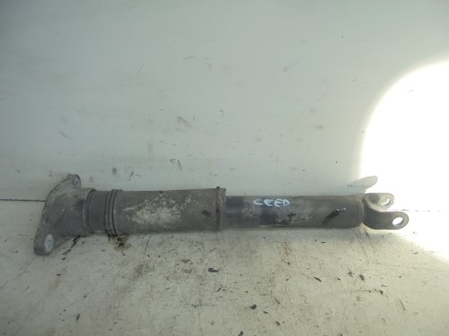 Ammortizzatore post. sx.