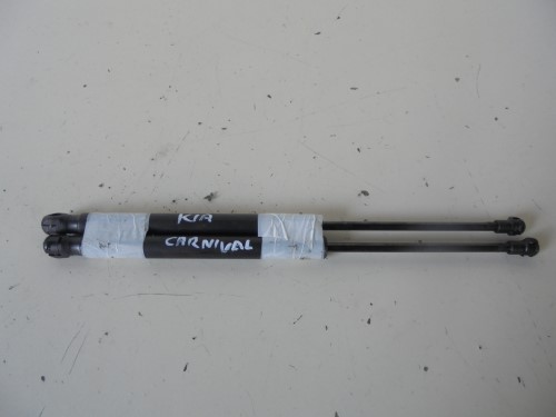 Asta ammortizzante cofano ant.