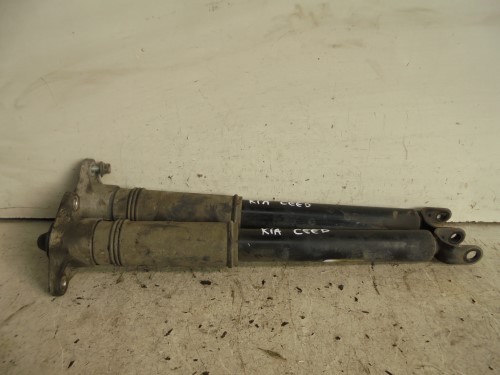 Ammortizzatore post.  sx.