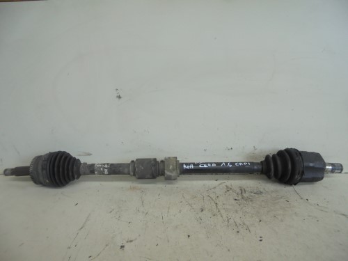 Semialbero ant. compl.  dx. 