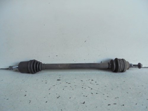 Semialbero ant. compl. dx. Semialbero ant. compl. dx.