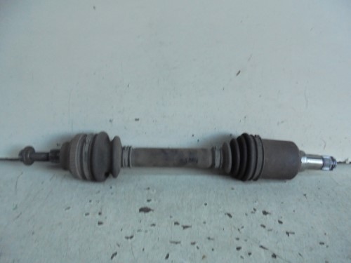 Semialbero ant. compl. sx. Semialbero ant. compl. sx.