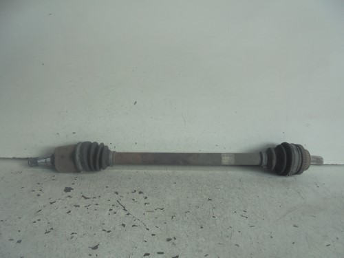 Semialbero post. compl.  dx. 