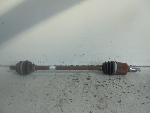 Semialbero post. compl.  dx. 