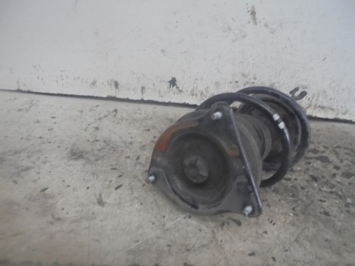 Ammortizzatore ant. sx.