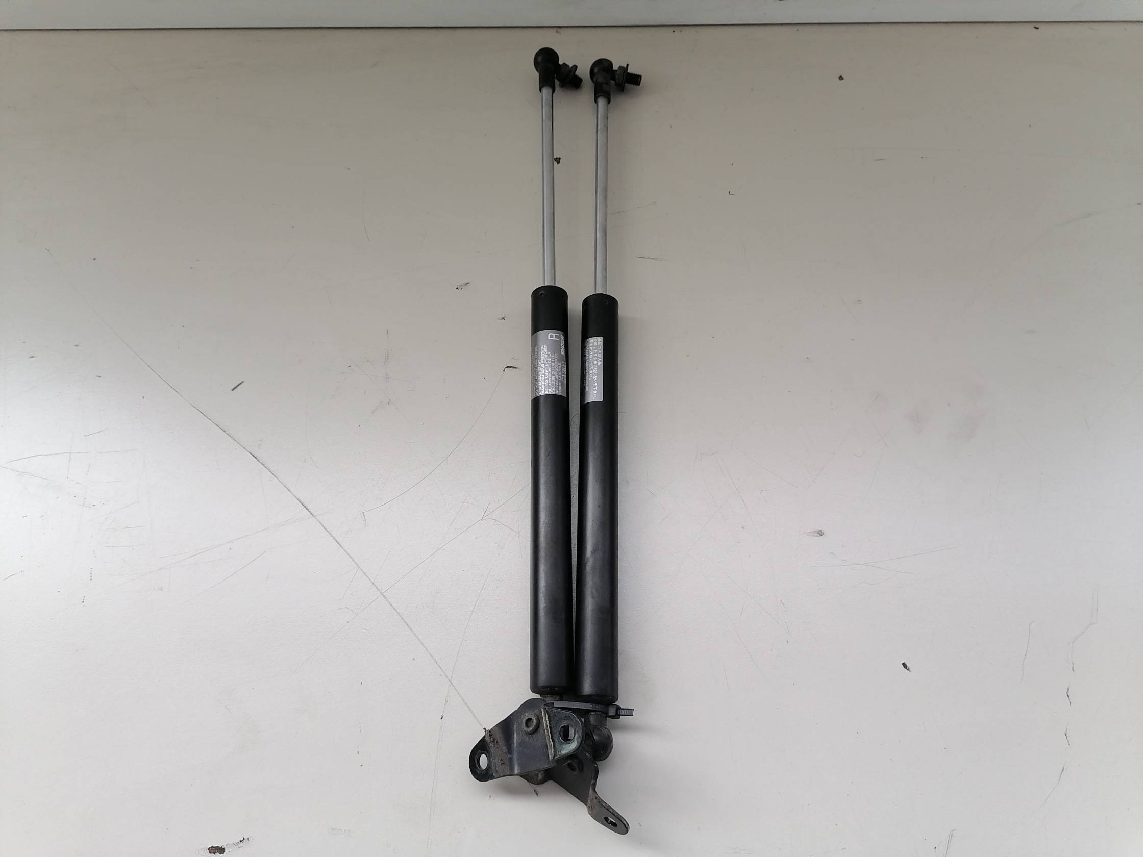 Asta ammortizzante portello post. sx.