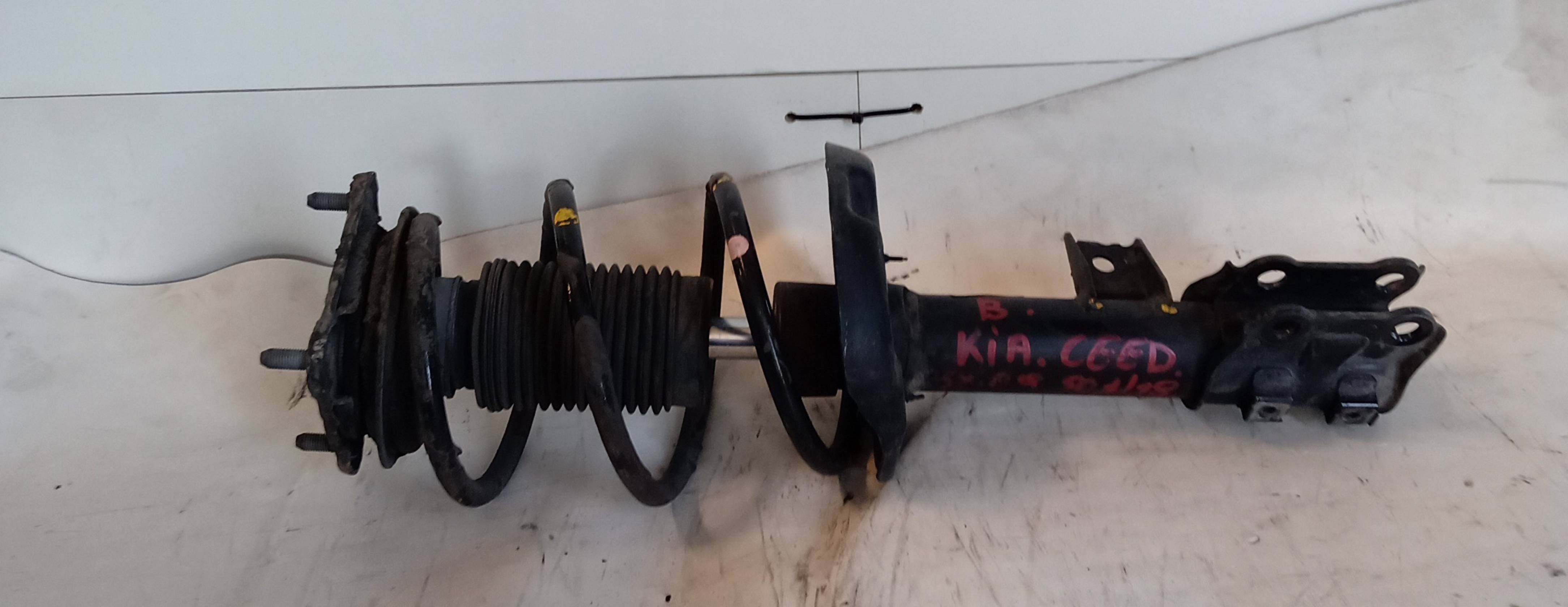 Ammortizzatore anteriore sinistro