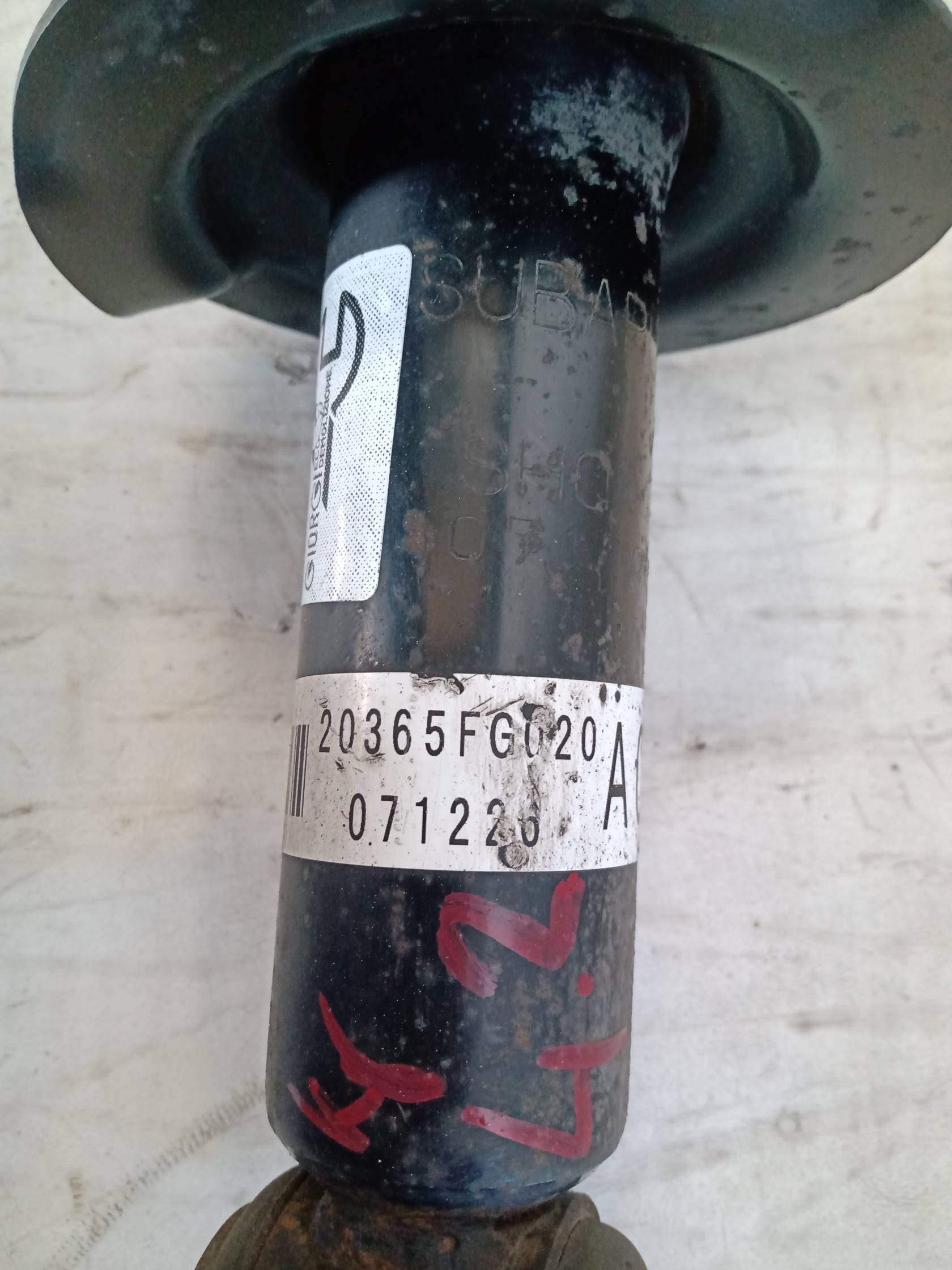 Ammortizzatore posteriore destro