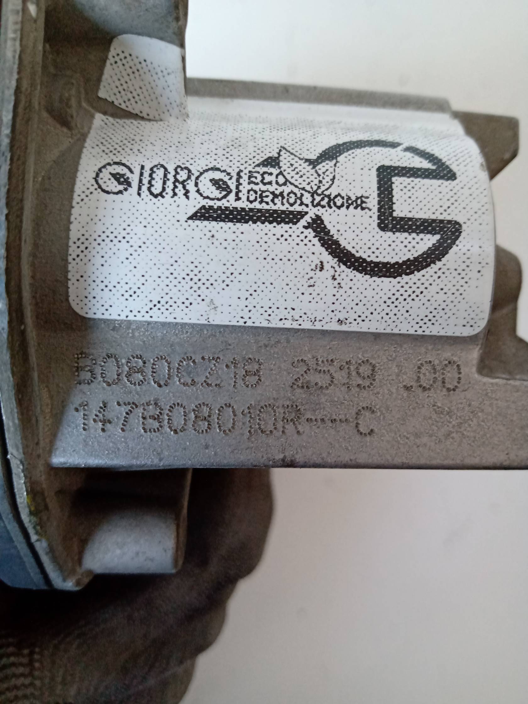 corpo farfallato corpo farfallato