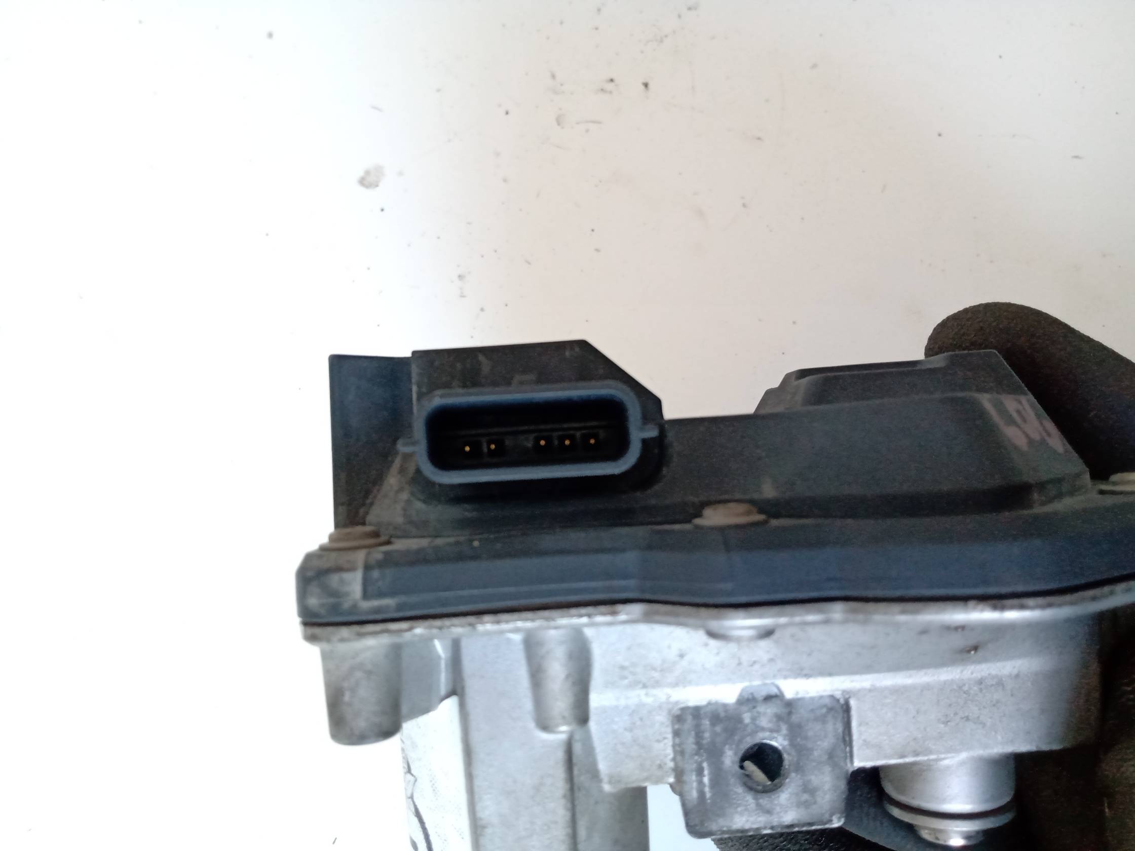 corpo farfallato corpo farfallato