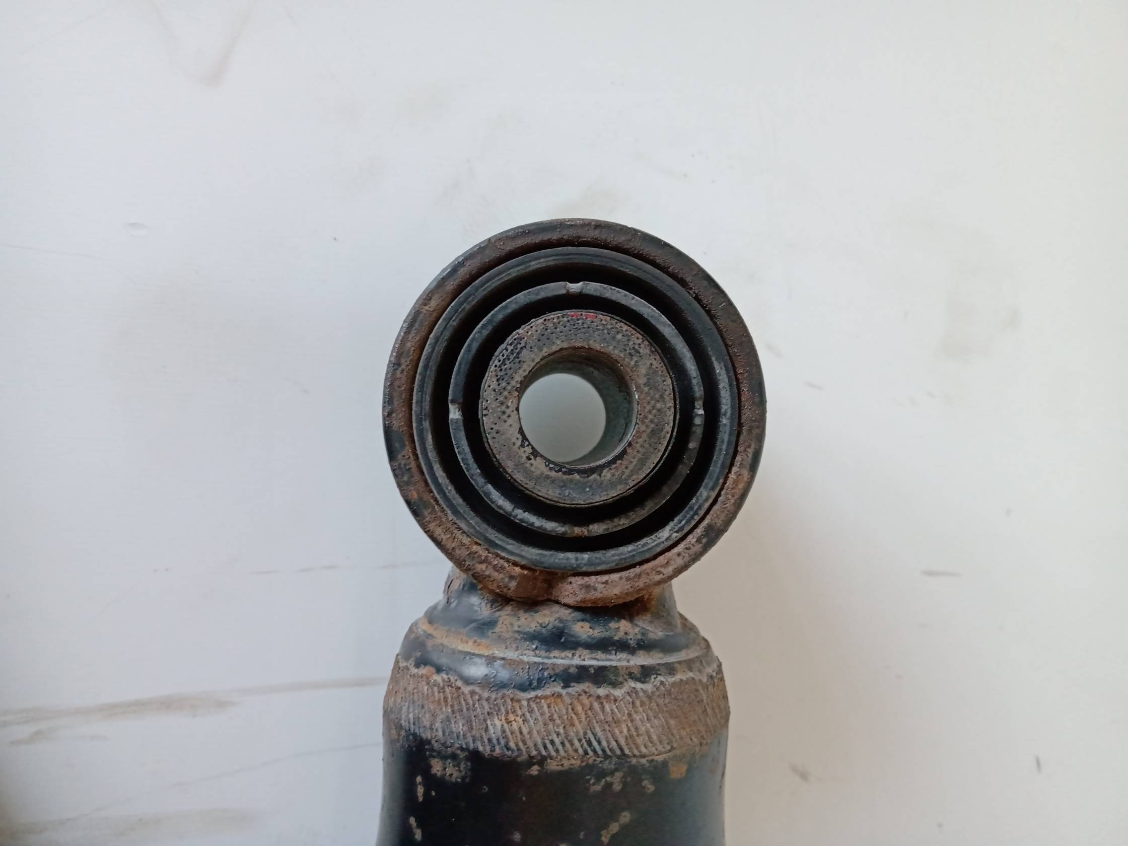 Ammortizzatore posteriore sinistro