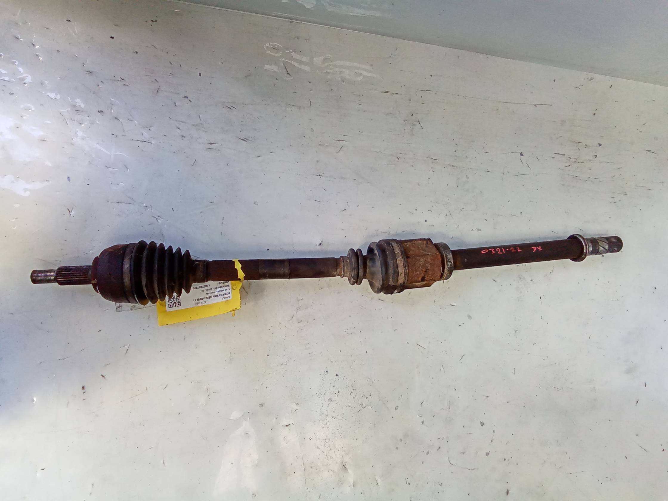 Semialbero ant. compl. dx.