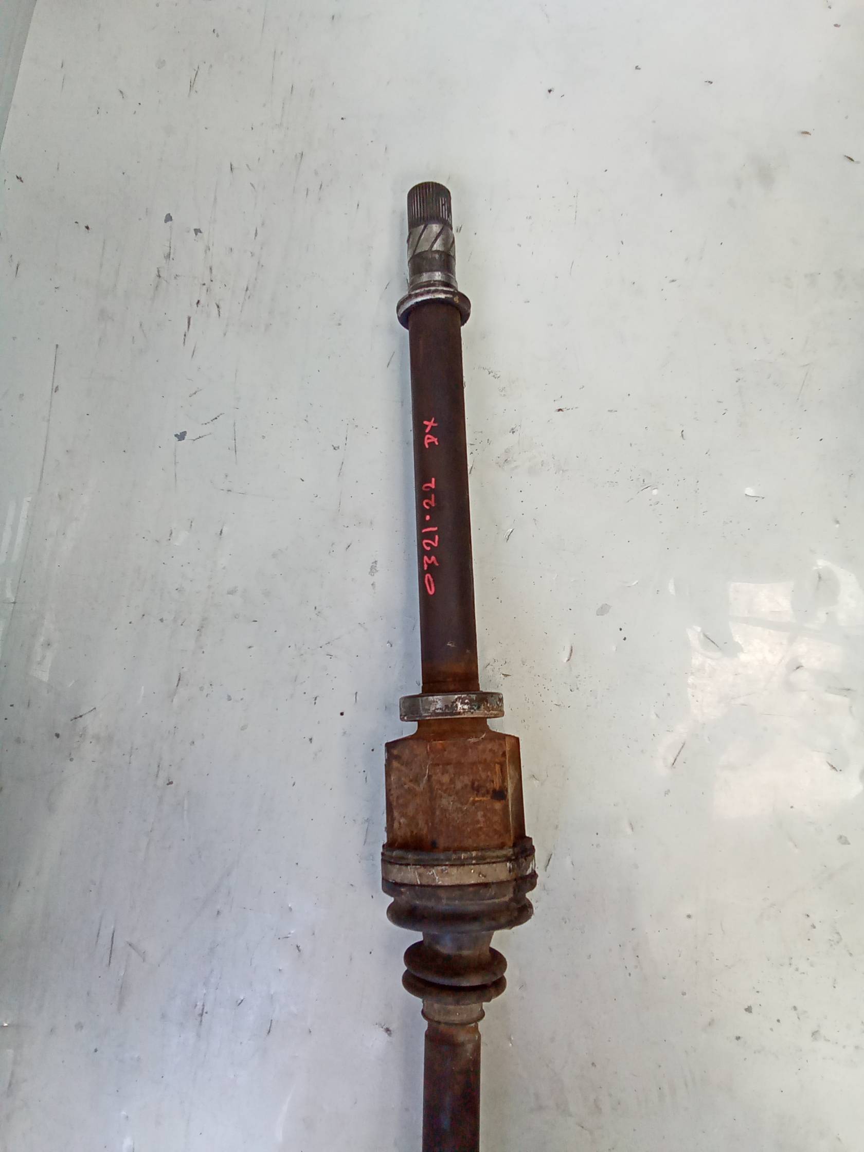 Semialbero ant. compl. dx.