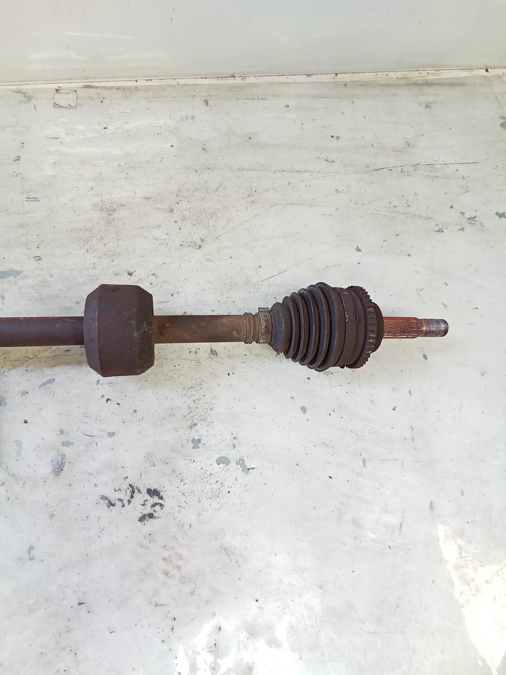 Semialbero ant. compl. dx.