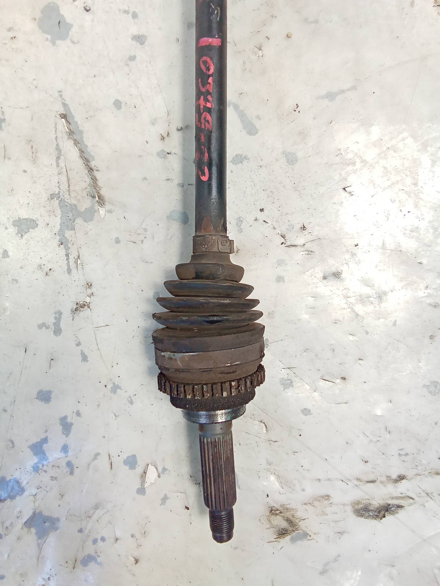 Semialbero ant. compl. dx.