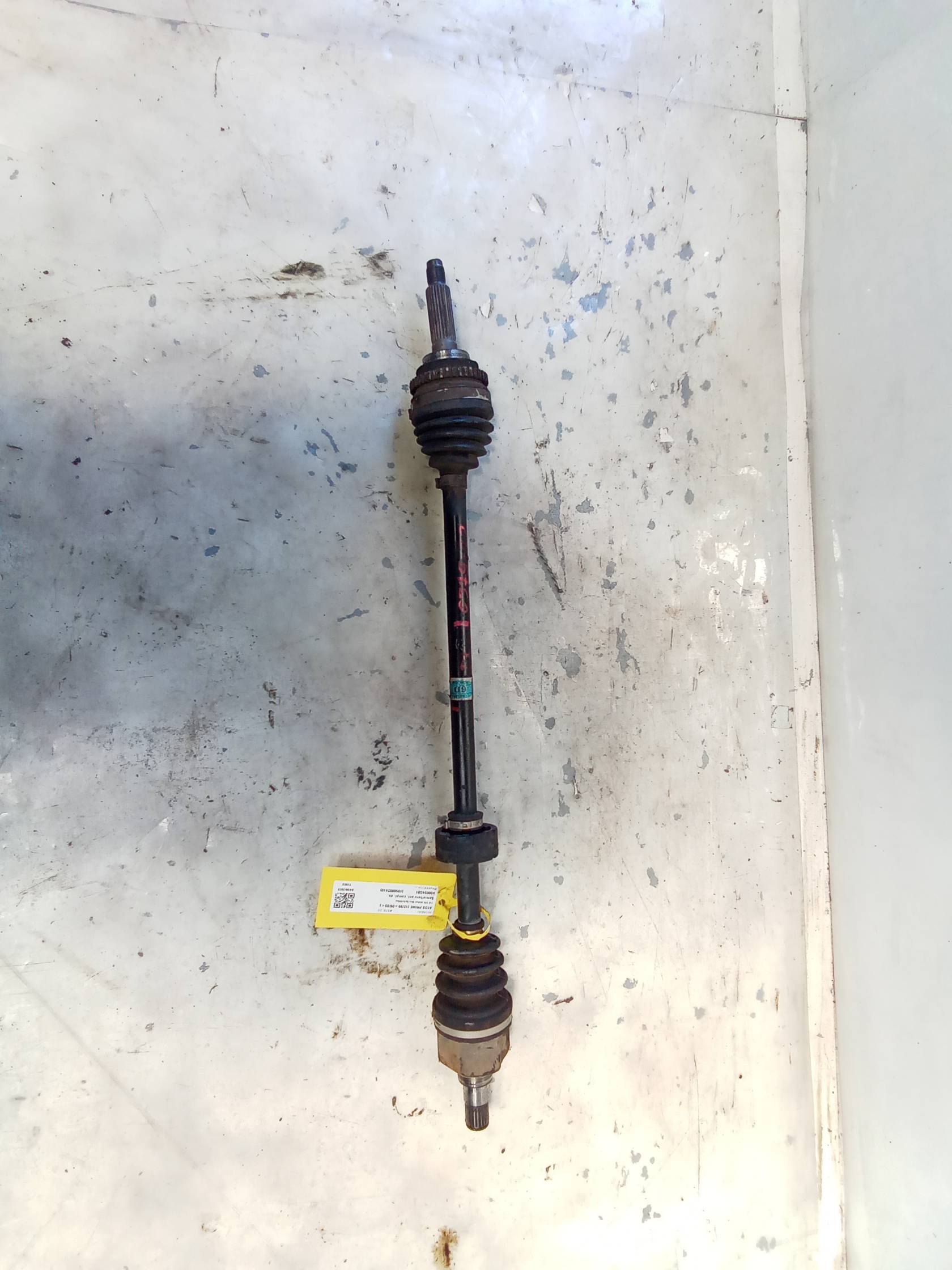 Semialbero ant. compl. dx.