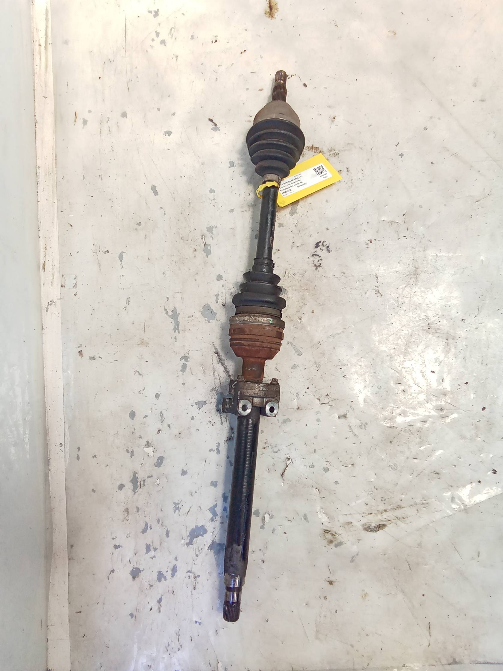 Semialbero ant. compl. dx.