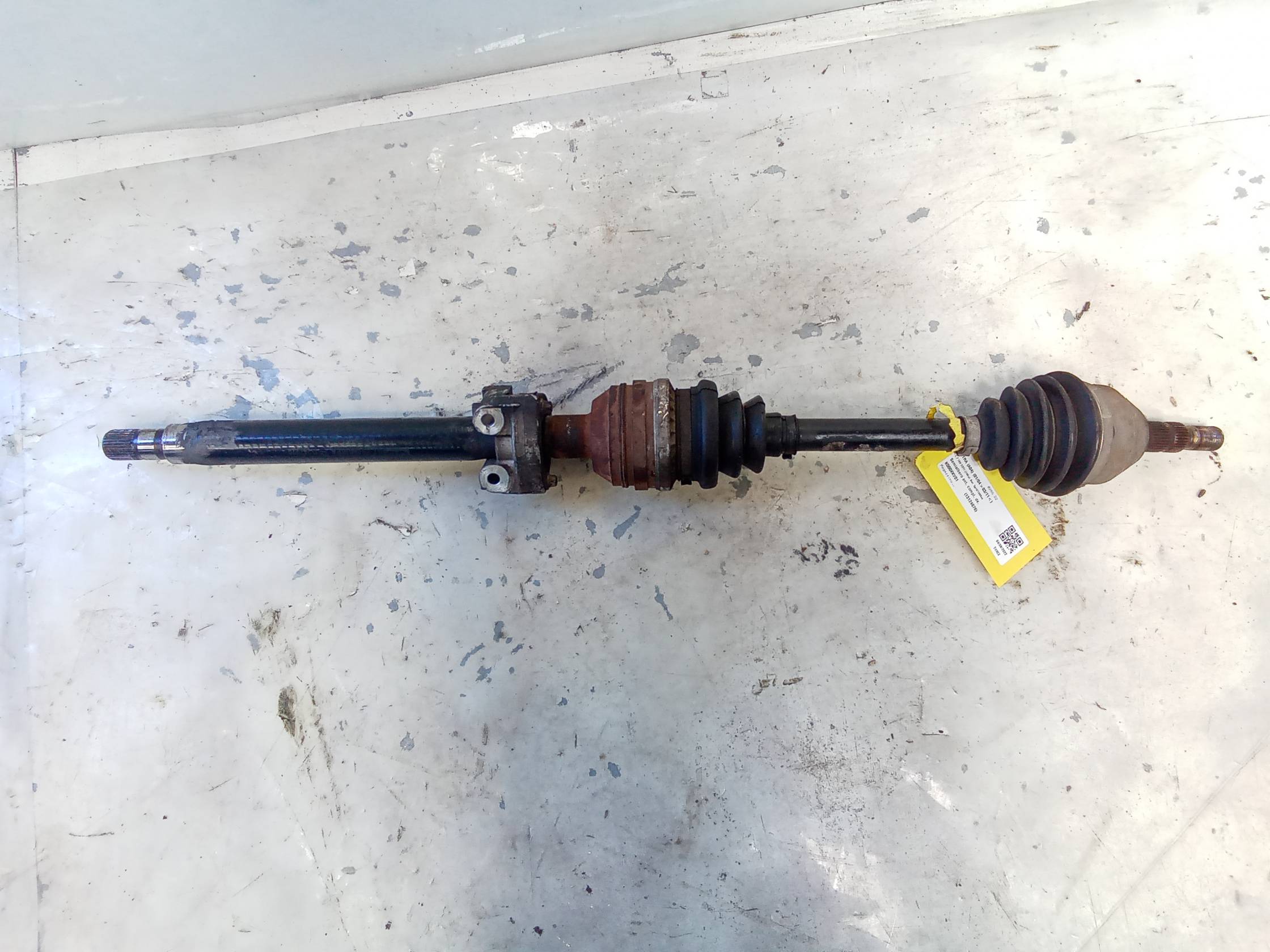 Semialbero ant. compl. dx.