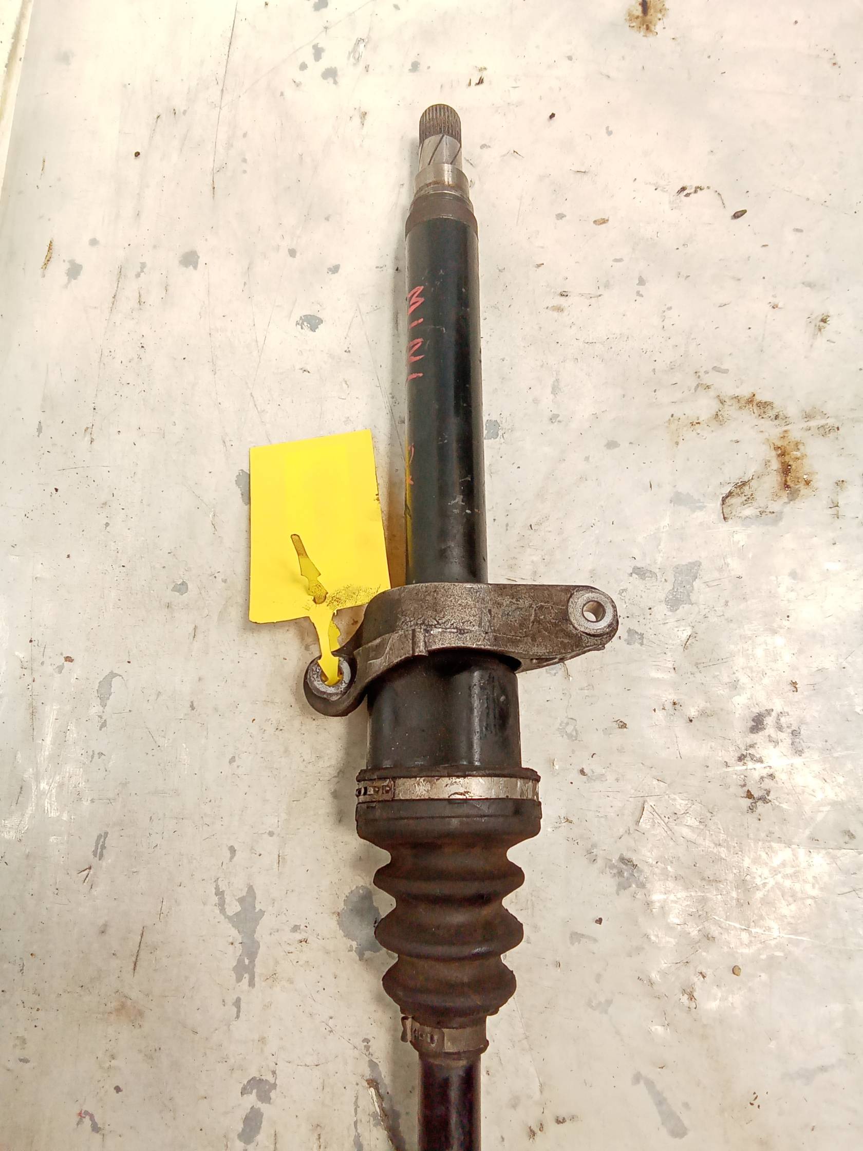 Semialbero ant. compl. dx. Semialbero ant. compl. dx.