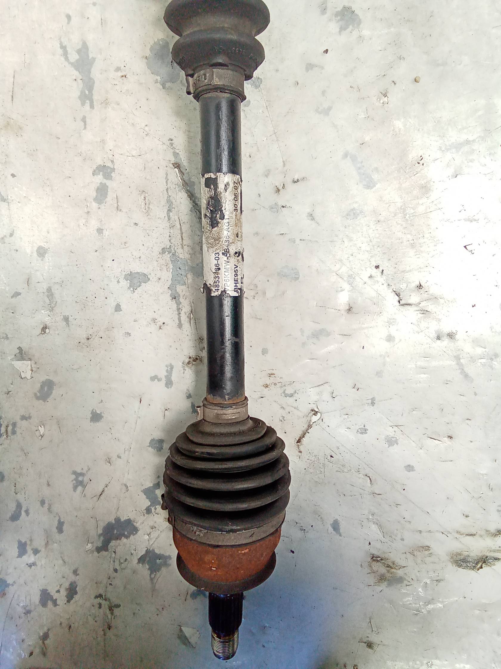 Semialbero ant. compl. dx. Semialbero ant. compl. dx.