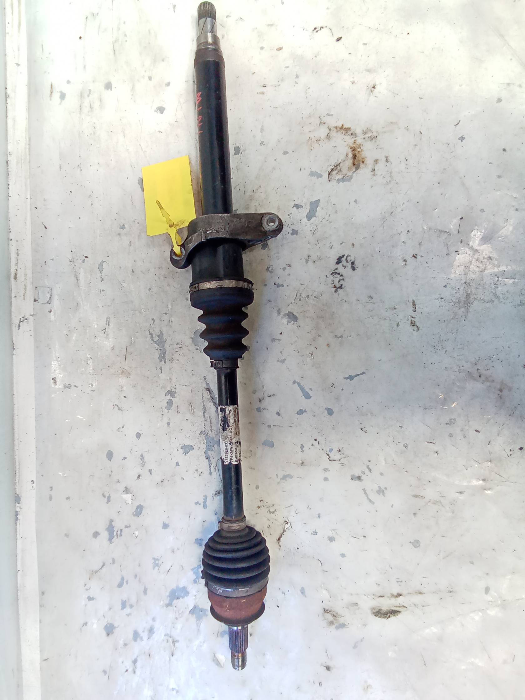 Semialbero ant. compl. dx. Semialbero ant. compl. dx.