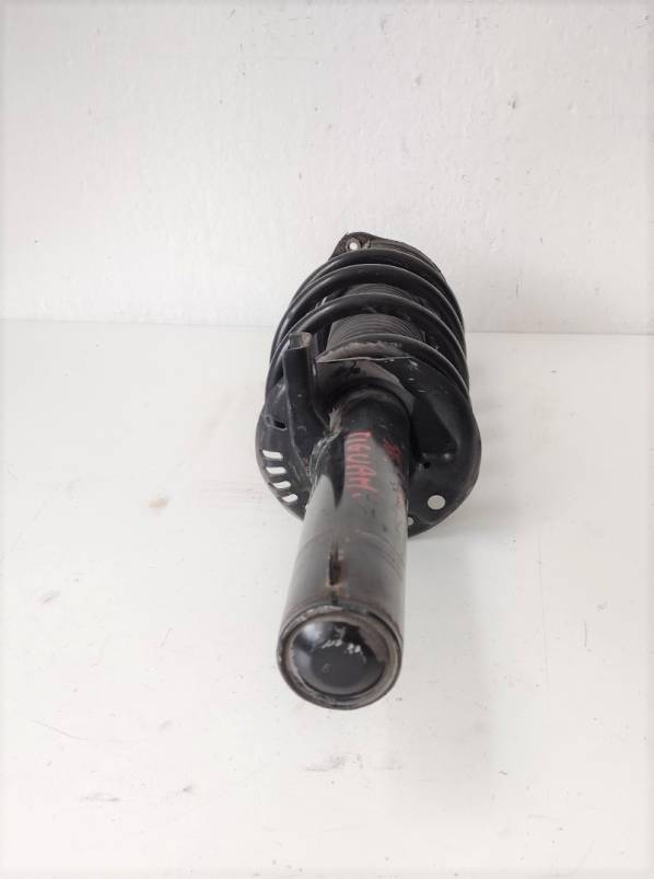 Ammortizzatore anteriore sinistro