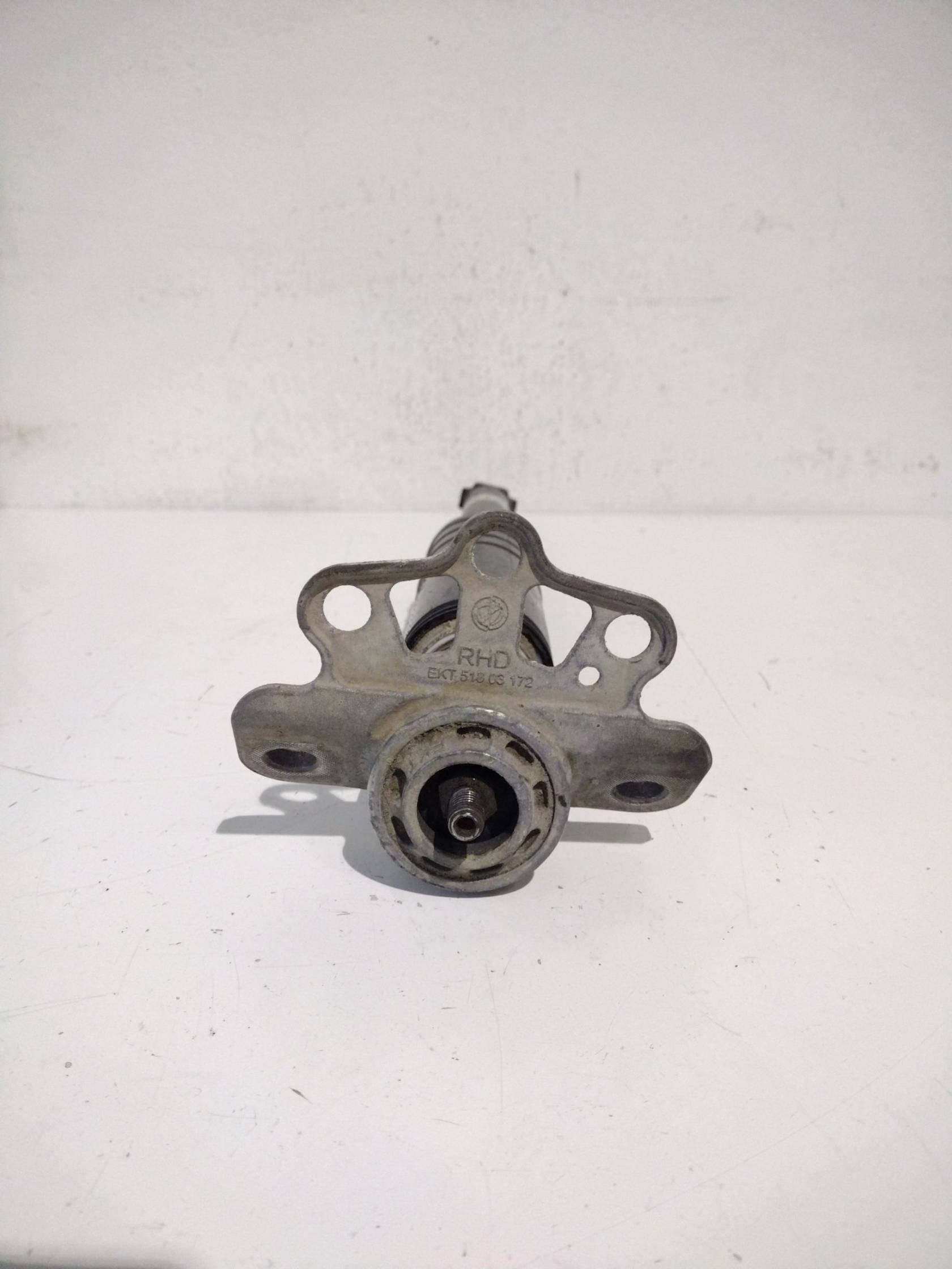 Ammortizzatore posteriore sinistro