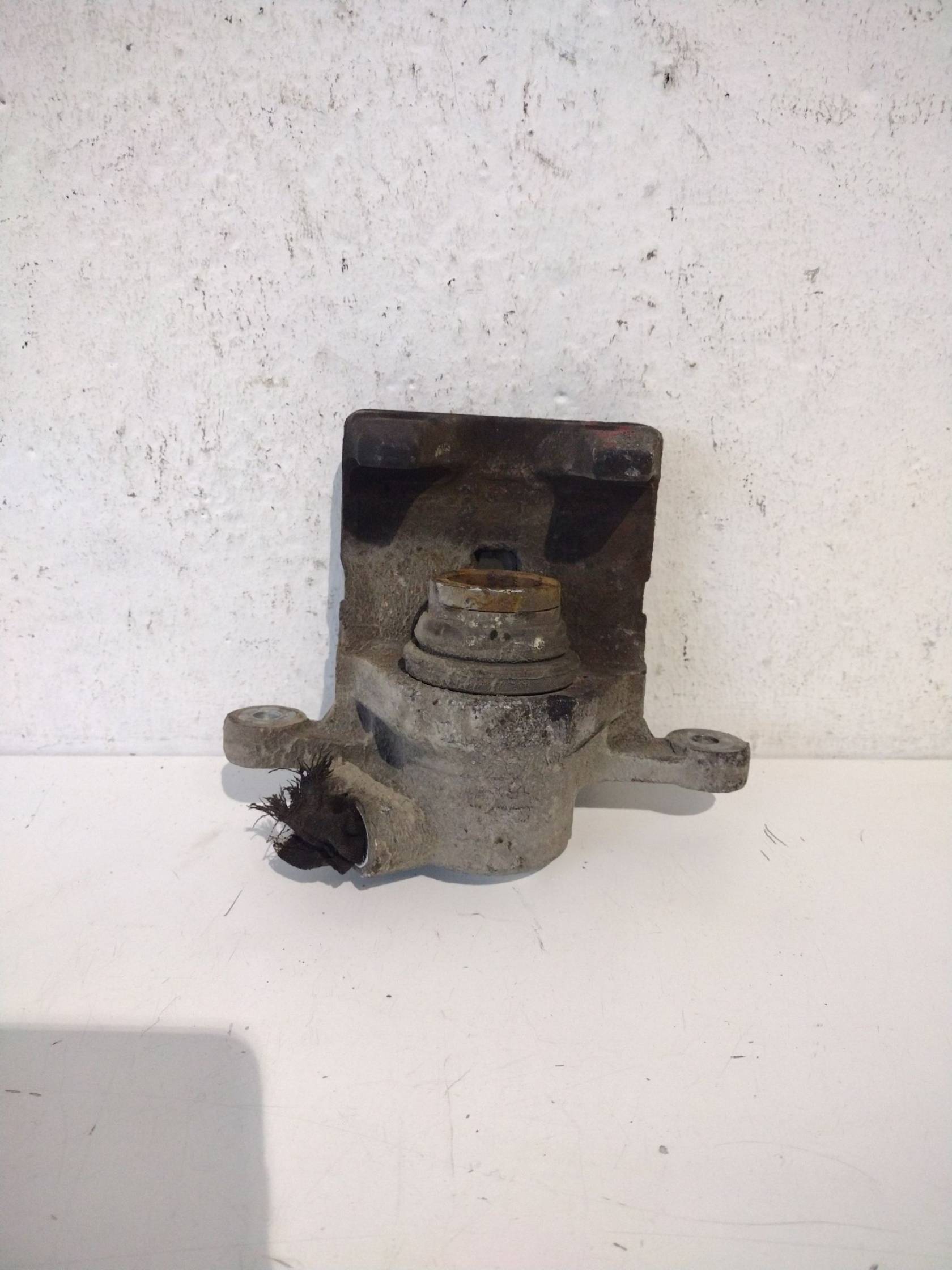 Pinza freno posteriore sinistra