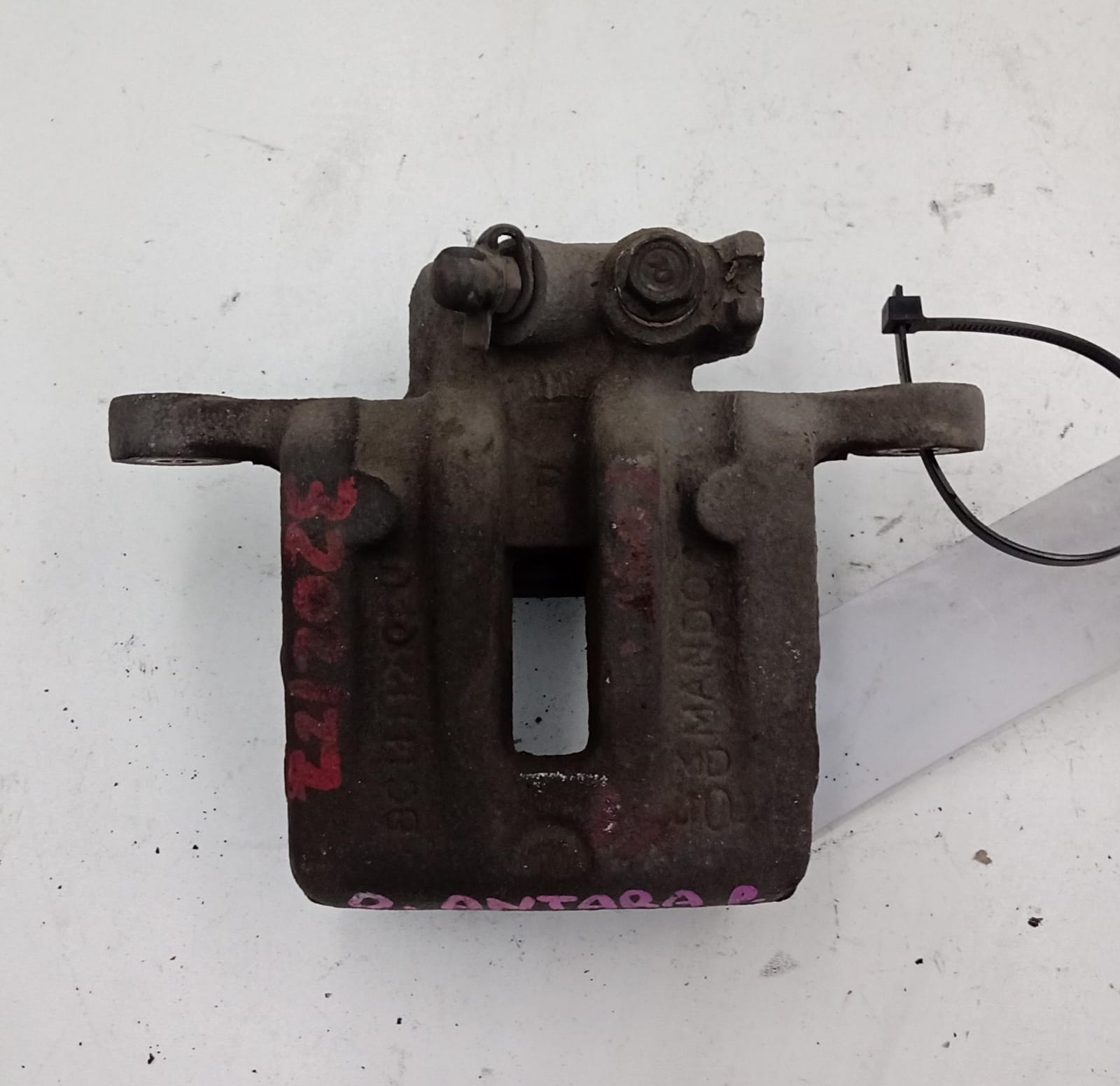 Pinza freno posteriore destra