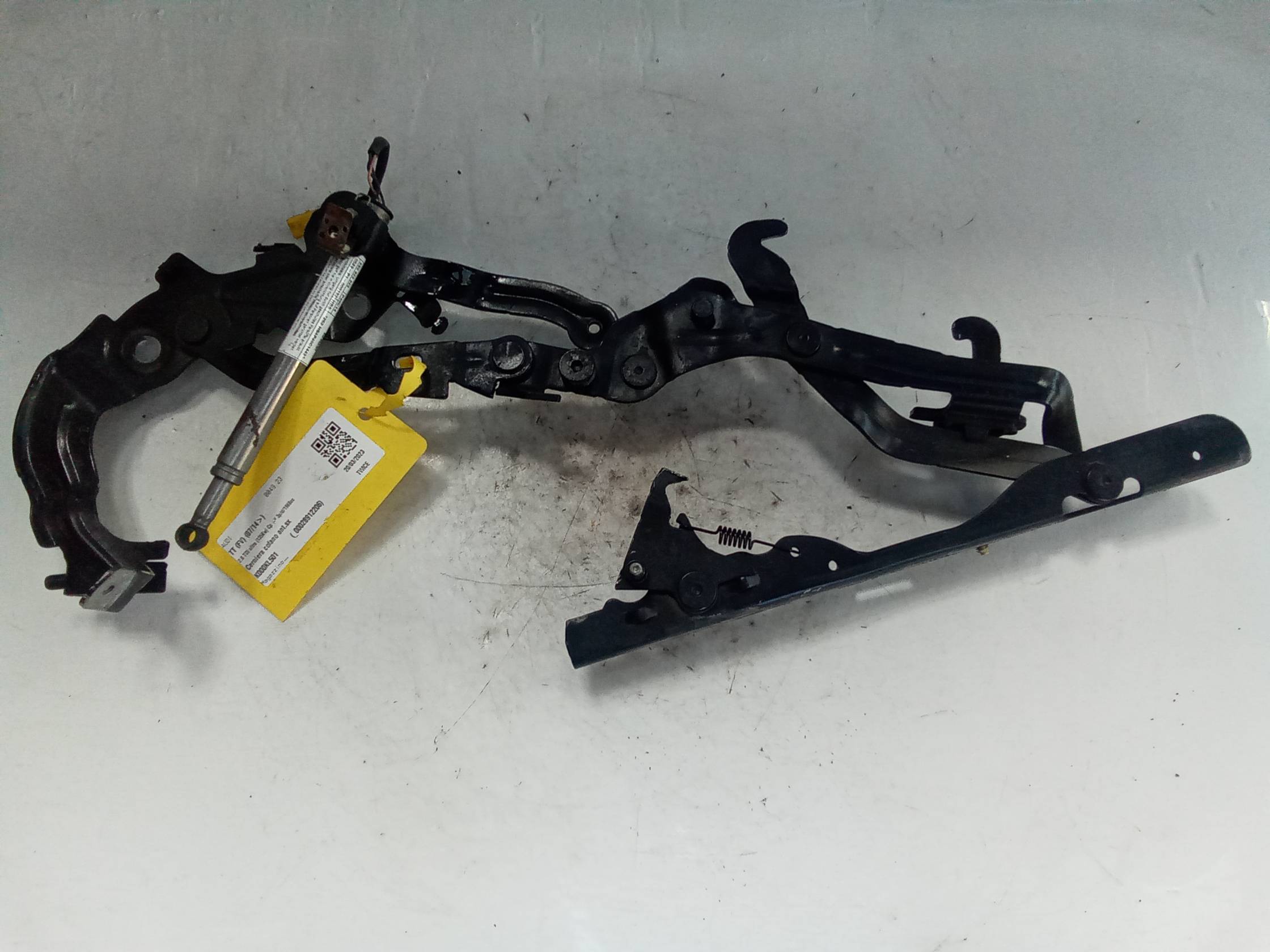 Cerniera cofano ant.sx