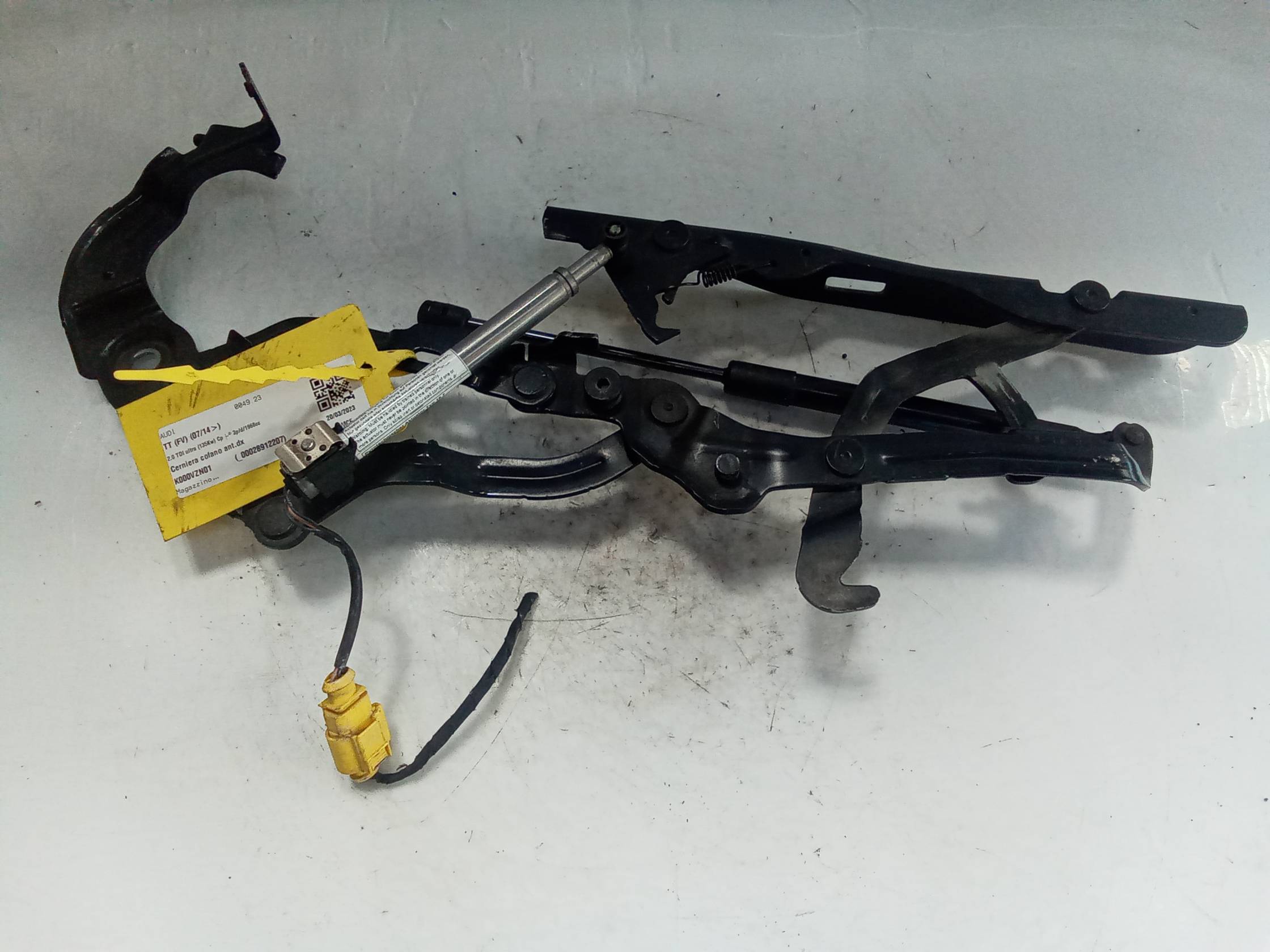 Cerniera cofano ant.dx