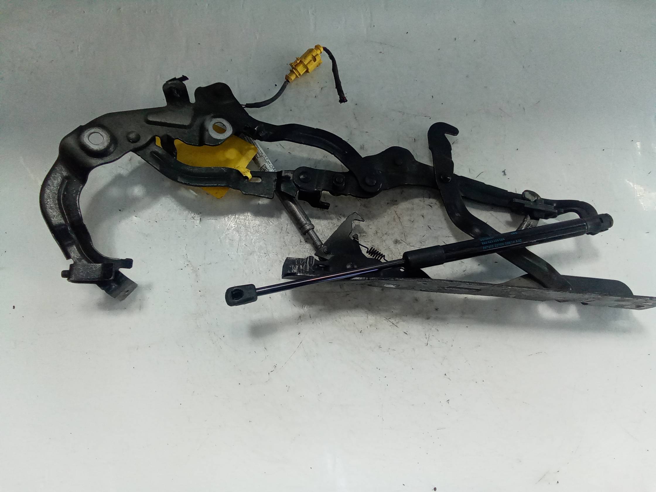 Cerniera cofano ant.dx