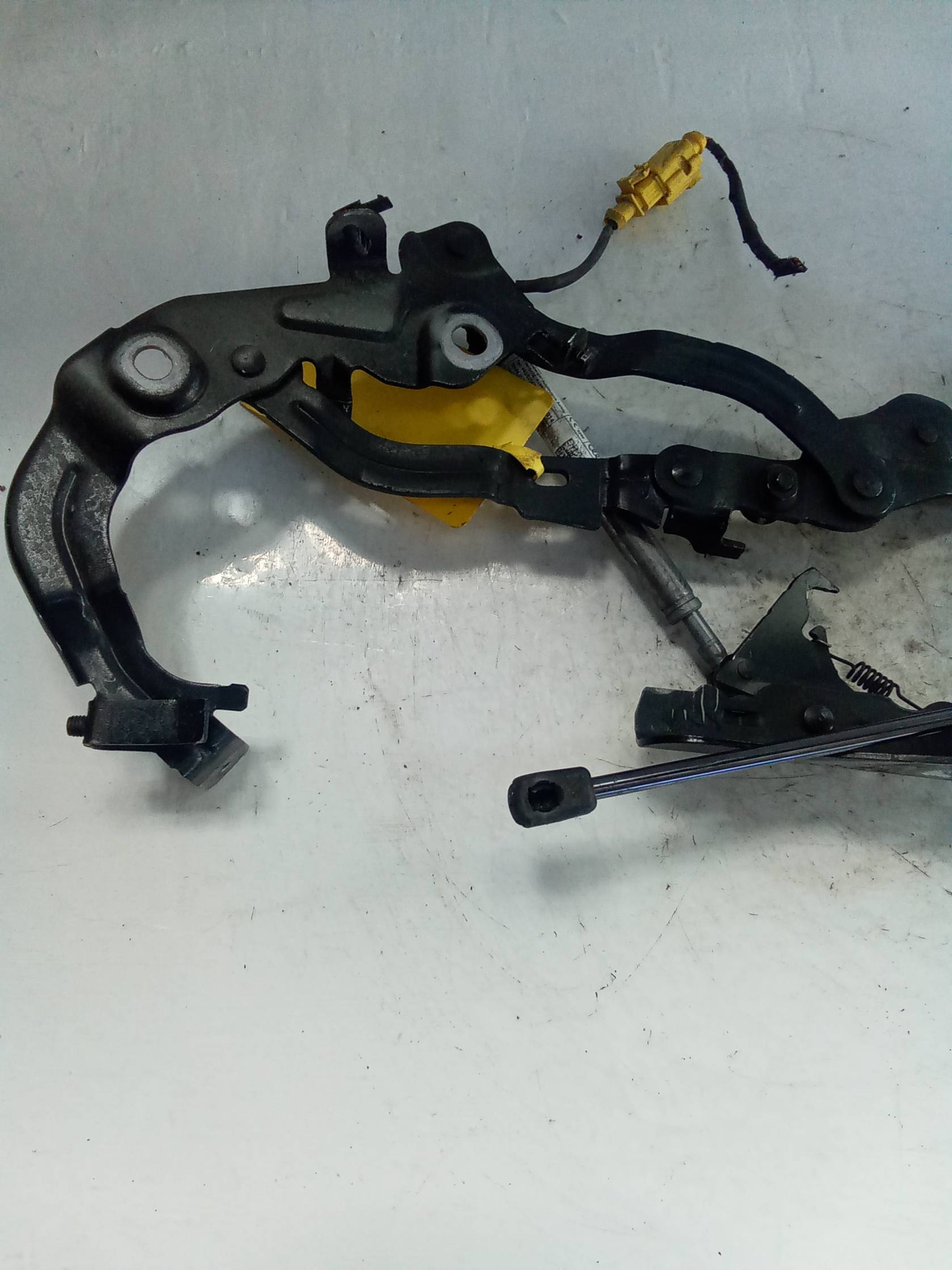 Cerniera cofano ant.dx